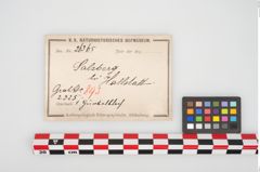 Etikett zu Bronzegürtelblech (NHMW-PRAE-026365)